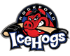 Rockford Ice Hogs